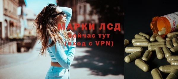 ГАЛЛЮЦИНОГЕННЫЕ ГРИБЫ Балахна