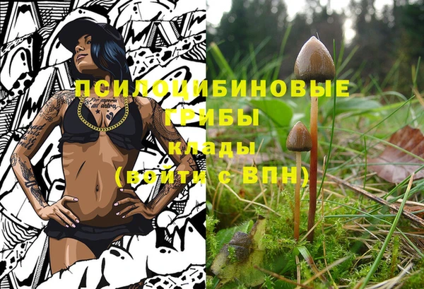 ГАЛЛЮЦИНОГЕННЫЕ ГРИБЫ Балахна